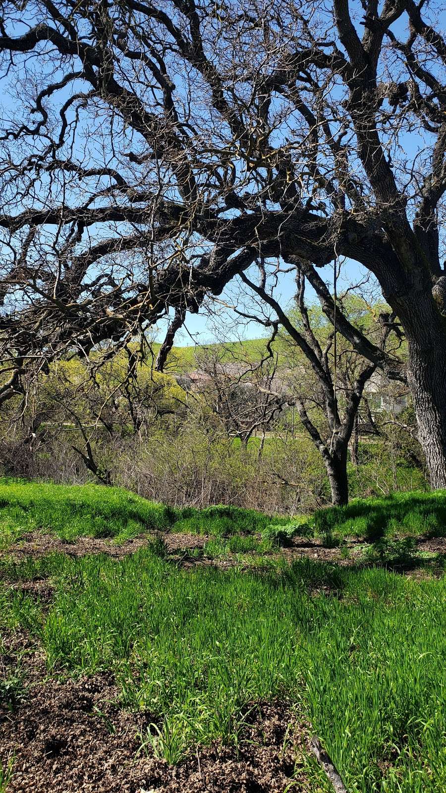 Tassajara Creek Regional Park | Tassajara Rd, Dublin, CA 94568, USA | Phone: (888) 327-2757