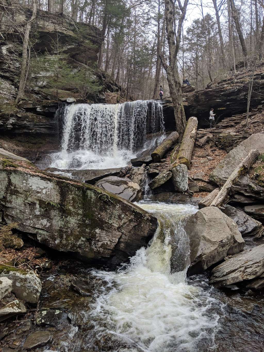 Ricketts Glen State Park | 695 State Route 487, Benton, PA 17814, USA | Phone: (570) 477-5675