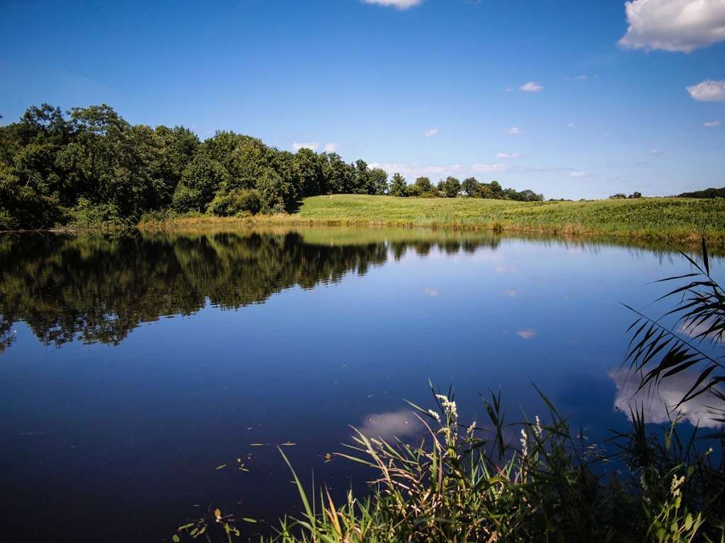 Appalachian Trail | State Line Rd, Westtown, NY 10998