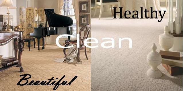 Larry & Annies Carpet Cleaning | 117 Rio Vista Dr, Edgewater, FL 32132 | Phone: (386) 427-8014