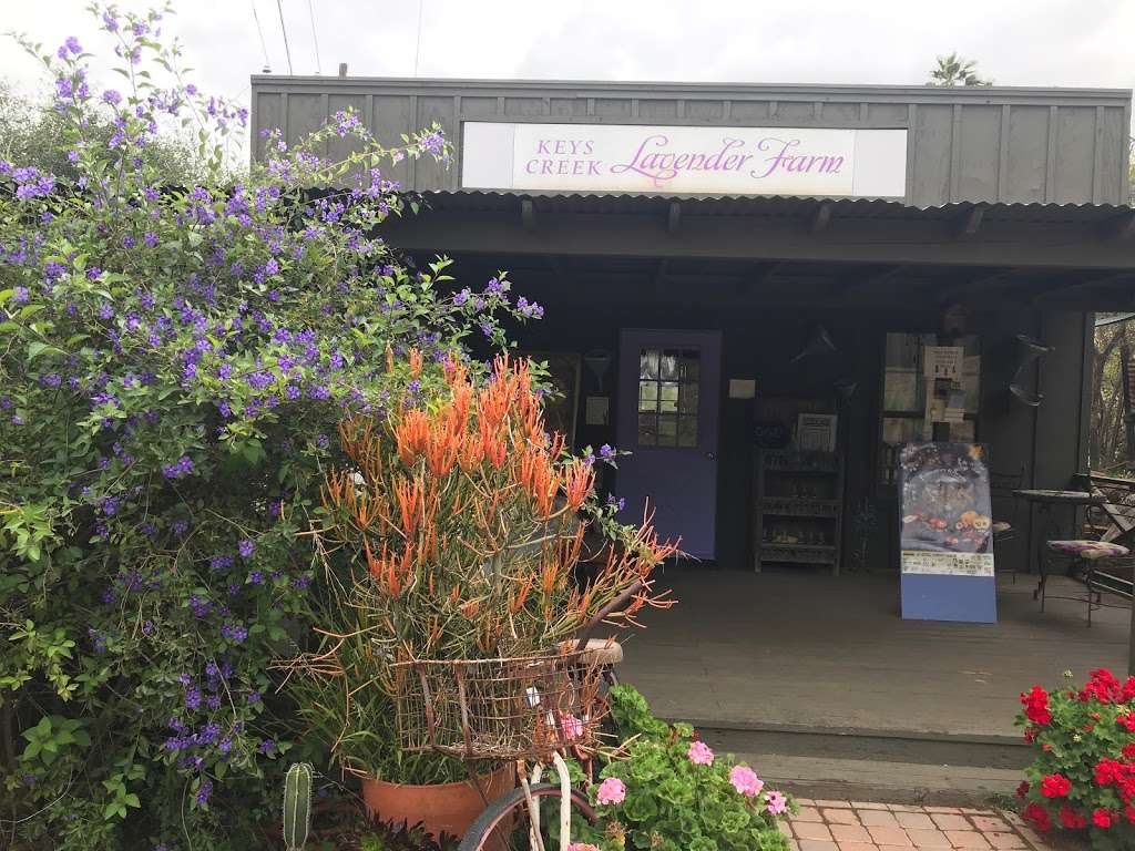 Keys Creek Lavender Farm | 12460 Keys Creek Rd, Valley Center, CA 92082, USA | Phone: (760) 742-3844