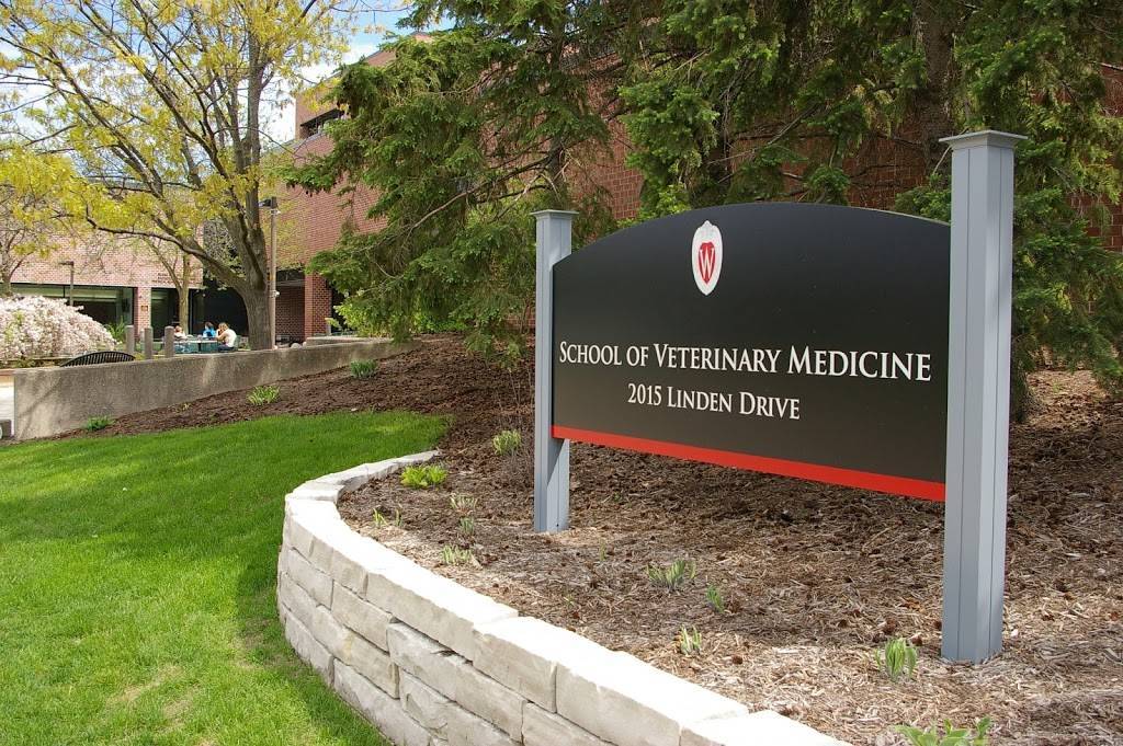 School Of Veterinary Medicine | Veterinary Medicine Bldg, 2015 Linden Dr, Madison, WI 53706, USA | Phone: (608) 263-7600