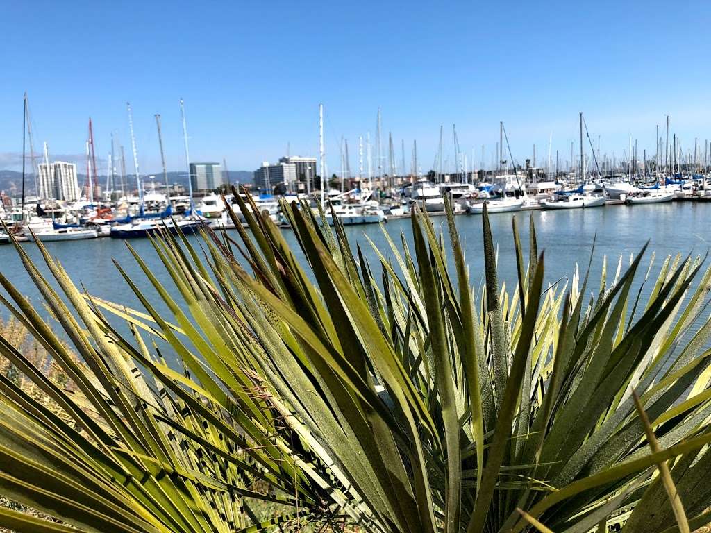 Emeryville Marina & Park | 3310 Powell St, Emeryville, CA 94608, USA | Phone: (510) 596-4353