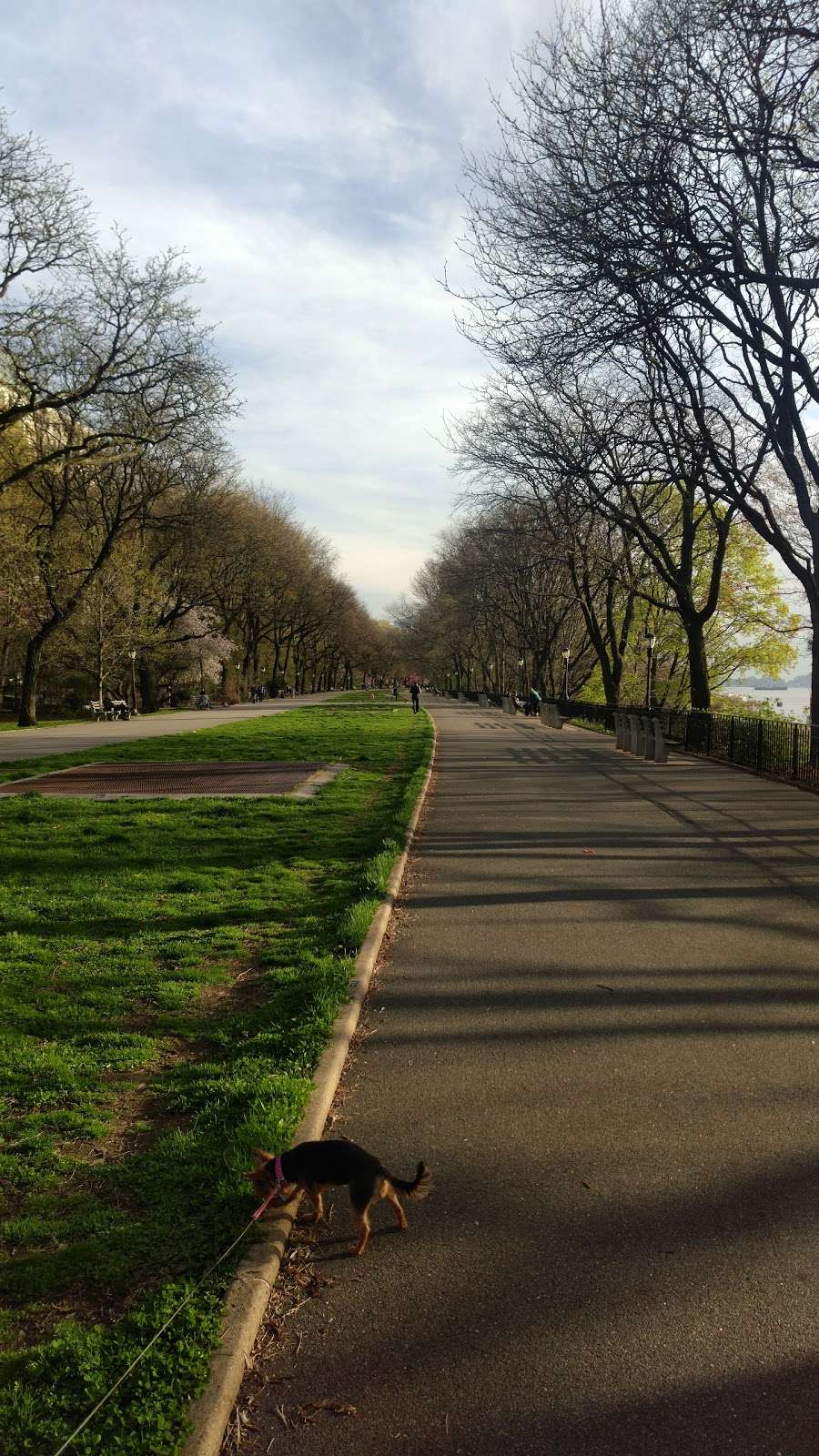 West 87th Street Dog Run | Hudson River Greenway, New York, NY 10024, USA