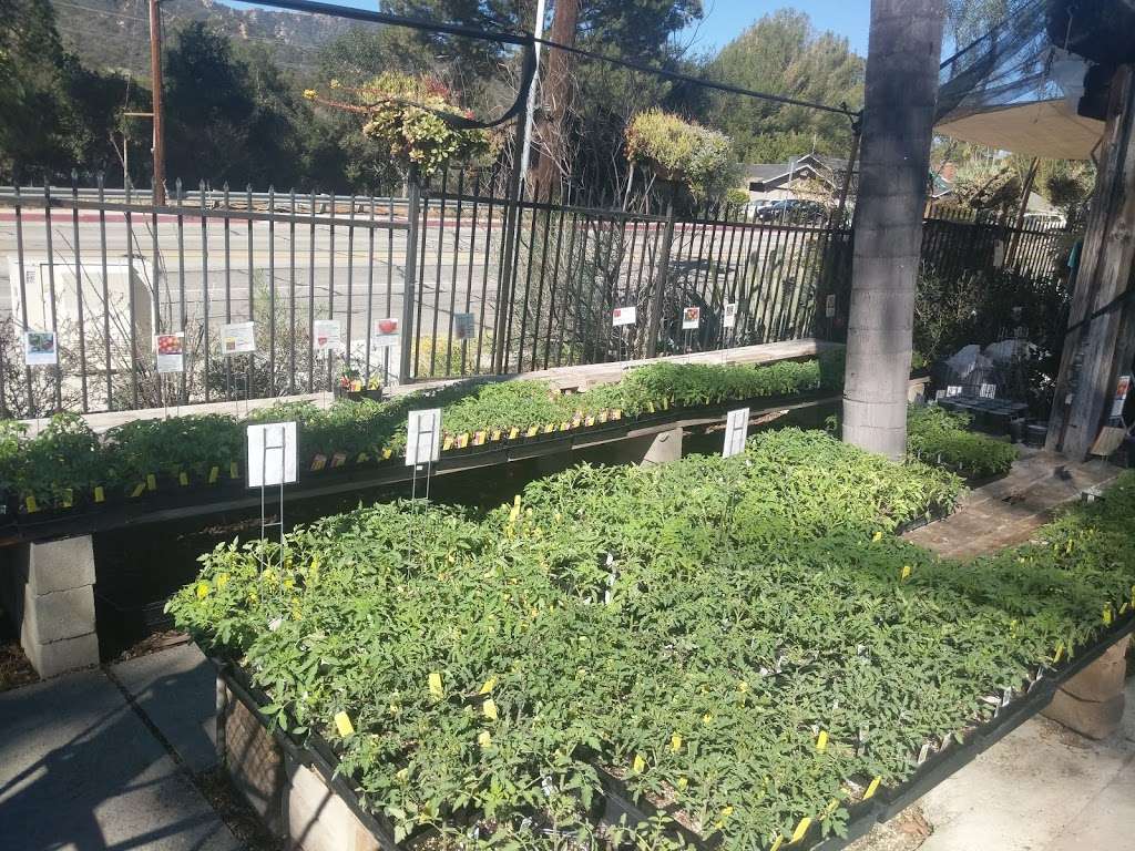 La Crescenta Nursery | 1001, 3654 La Crescenta Ave, Glendale, CA 91208, USA | Phone: (818) 249-2448