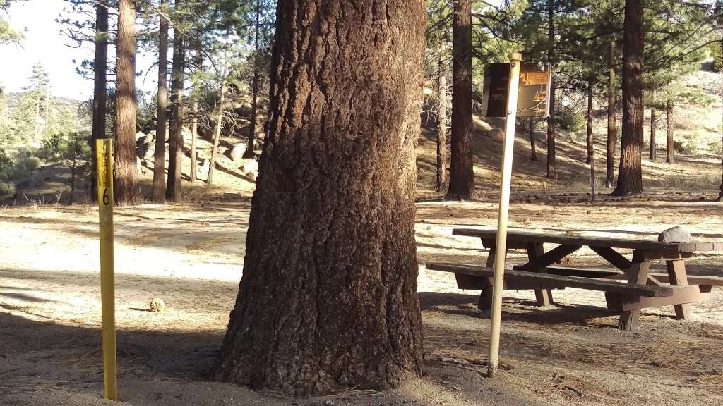 Yellow Post Camp Site #6 | 3N97D, California