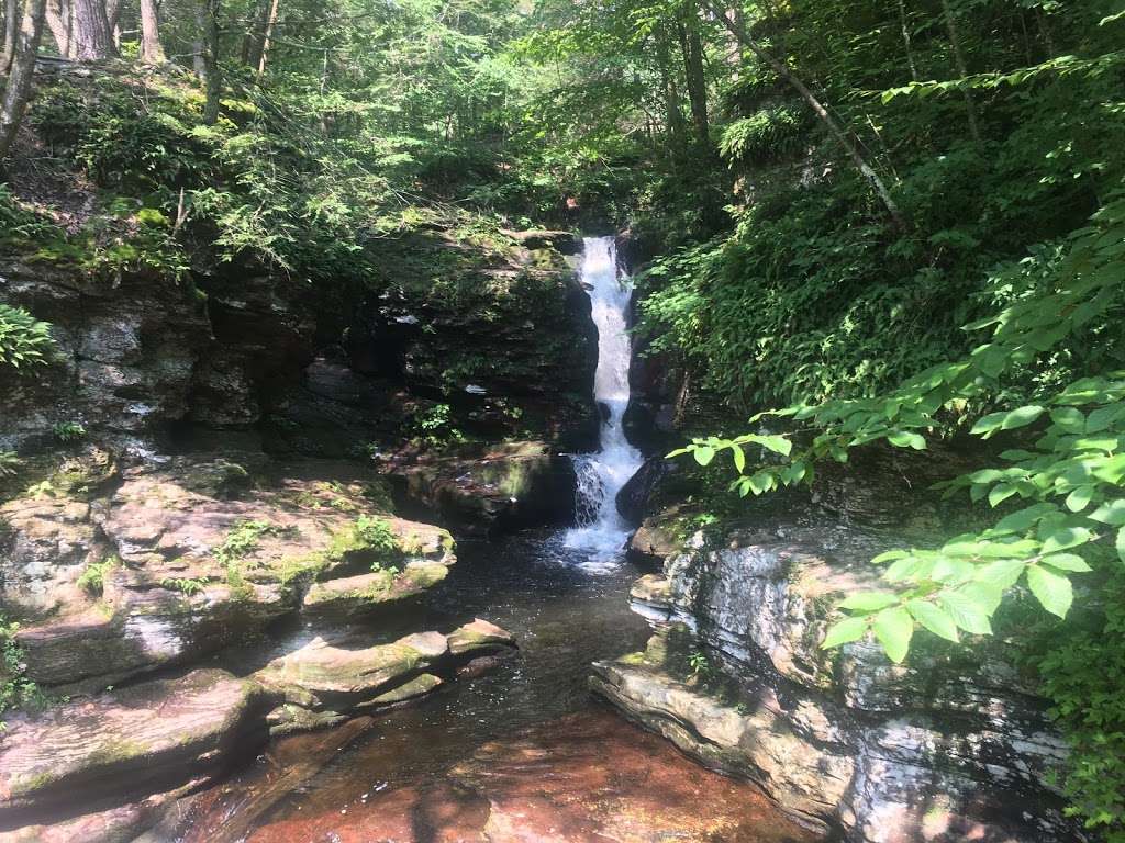 Falls Natural Trail, Ricketts Glen | PA-118, Benton, PA 17814, USA