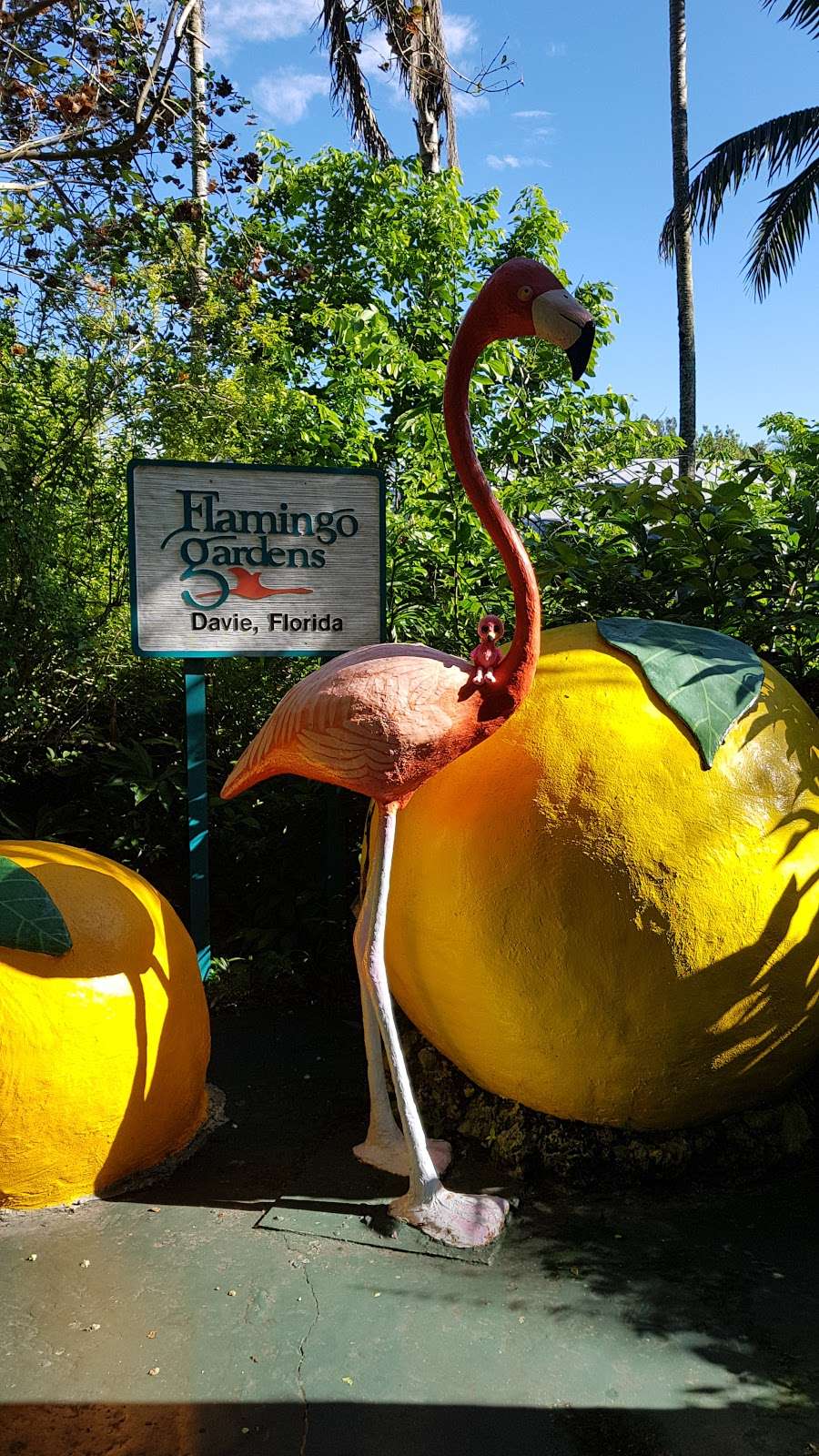 Flamingo Gardens | 3750 S Flamingo Rd, Davie, FL 33330, USA | Phone: (954) 473-2955