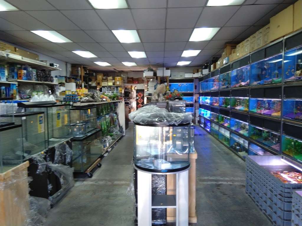 Hong Kong Tropical Fish | 18828 Norwalk Blvd, Artesia, CA 90701, USA | Phone: (562) 402-7128