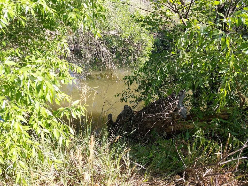 Poudre River Trail - Poudre River Ranch Natural Area | 638 N 71st Ave, Greeley, CO 80634