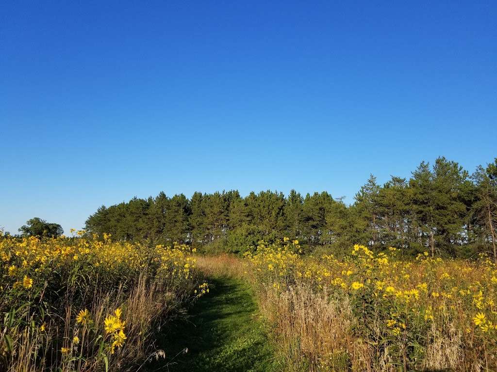 Boone Creek Conservation Area | 916 N Cold Springs Rd, Bull Valley, IL 60098, USA | Phone: (815) 338-6223