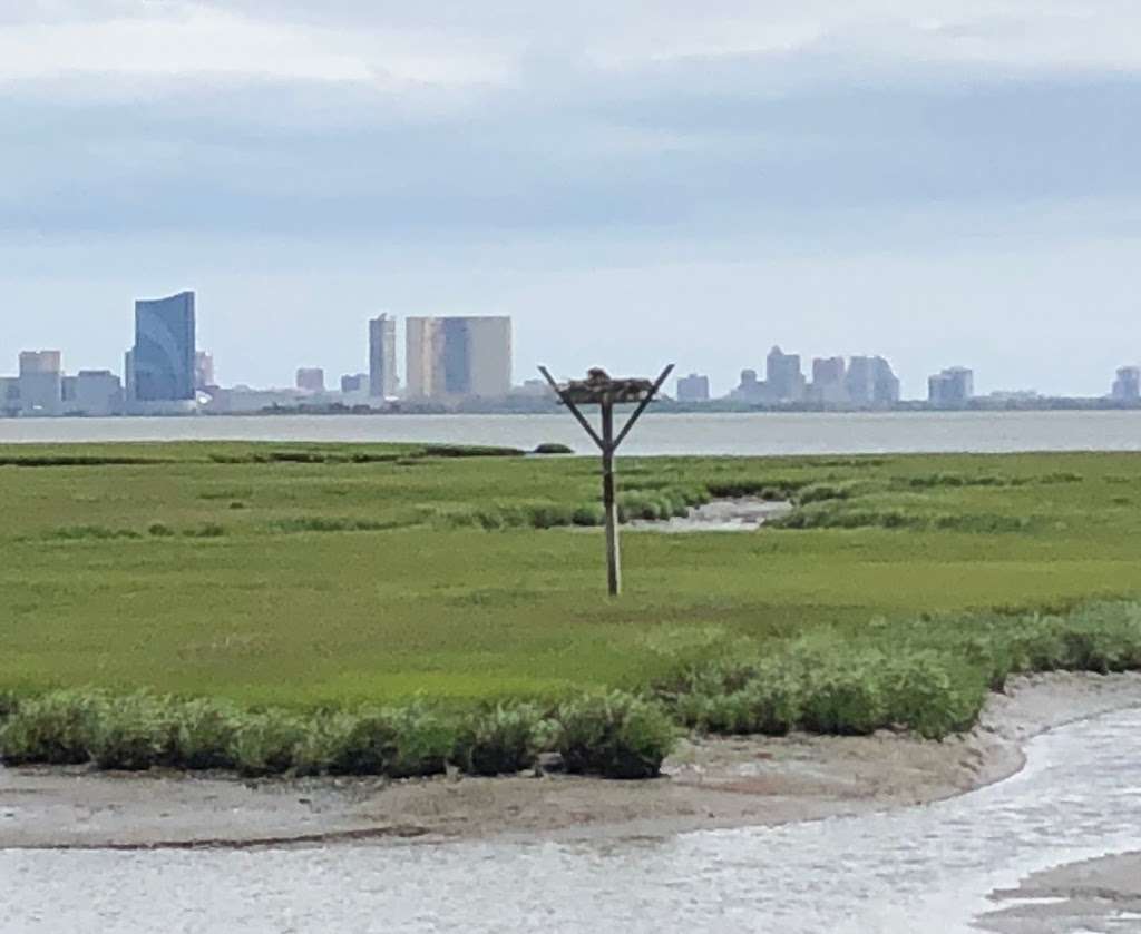 Forsythe Wildlife Refuge Brigantine | 733 E Lilly Lake Rd, Absecon, NJ 08205, USA