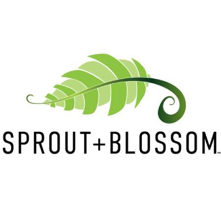 Sprout + Blossom | 5311 FM 1960 Suite A, Humble, TX 77346, USA | Phone: (346) 291-6515