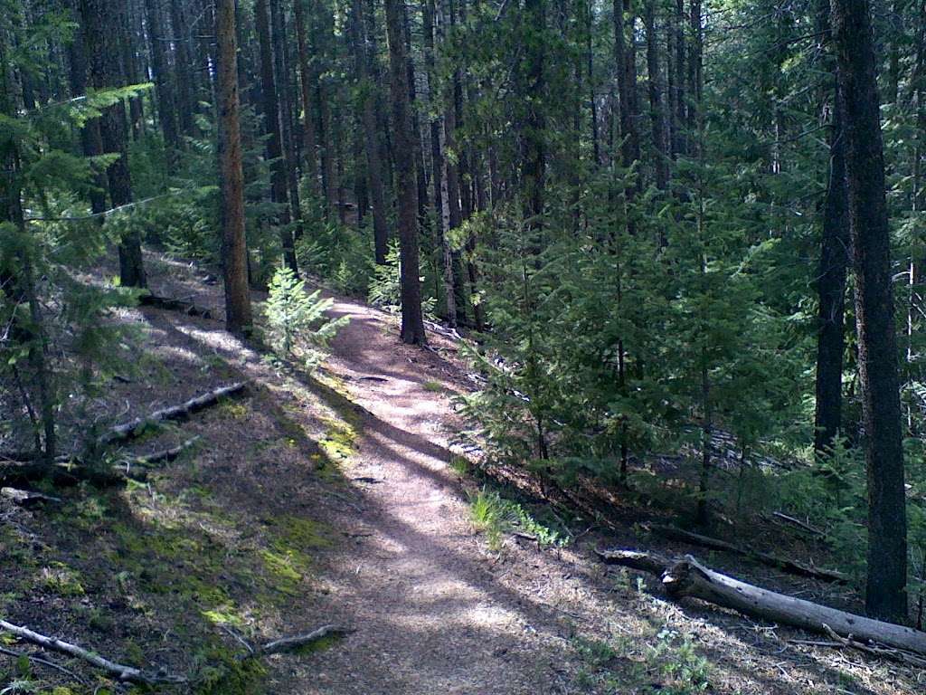 Parking lot for Colorado Trail access | Pine, CO 80470, USA