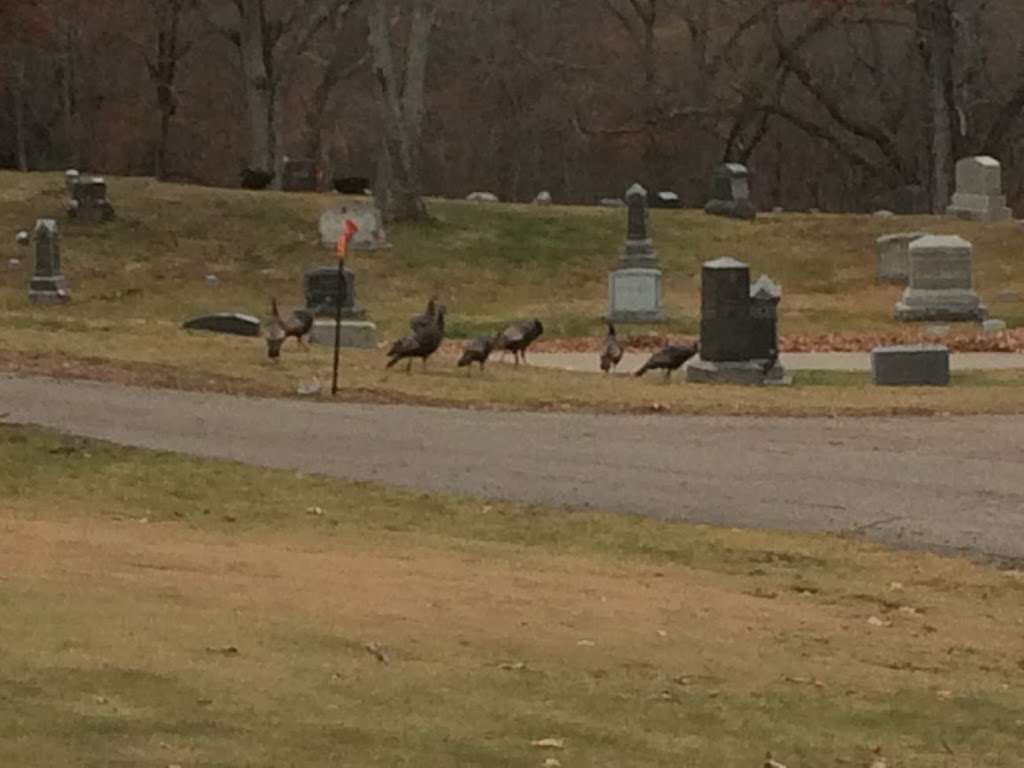 Canton Cemetery | Canton, MA 02021, USA