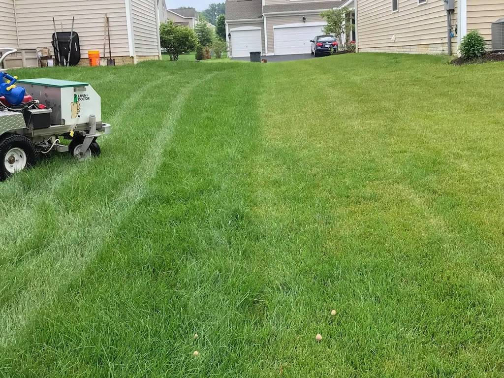 Lawn Doctor of Greater Columbus | 1005 Old Henderson Rd, Columbus, OH 43220, USA | Phone: (614) 771-1589