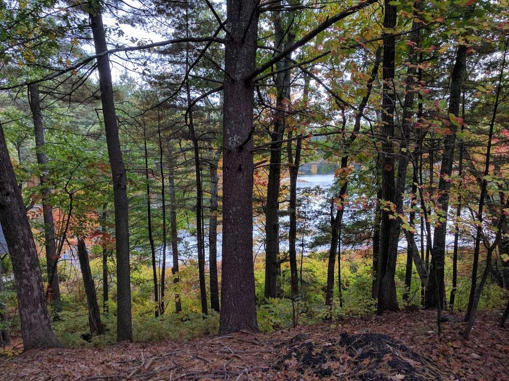 Stony Brook Conservation Land | Westford, MA 01886, USA | Phone: (978) 692-5532