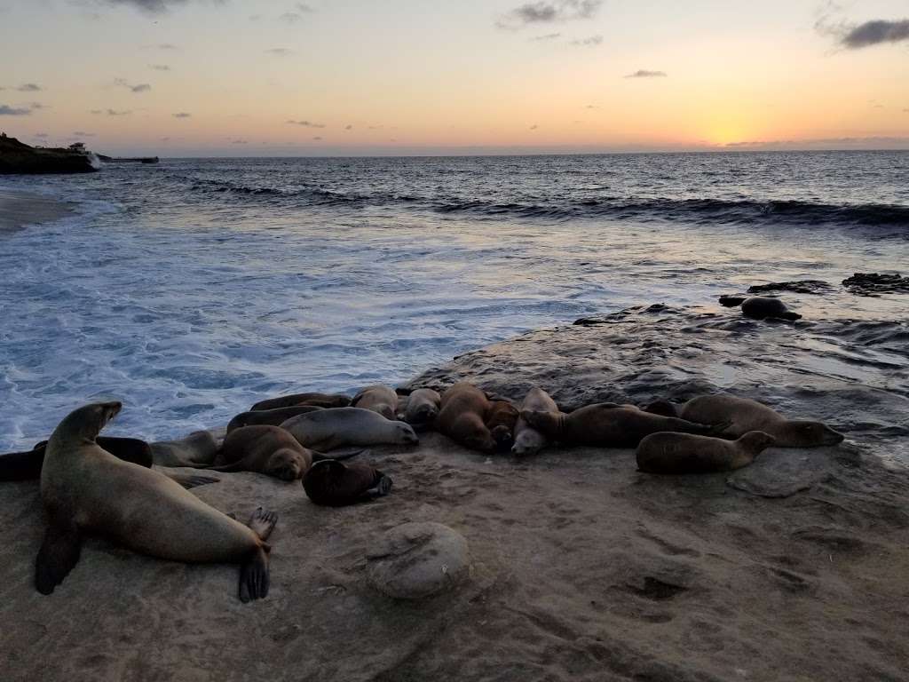 La Jolla Shores Park | 8300 Camino Del Oro, La Jolla, CA 92037, USA | Phone: (619) 221-8899