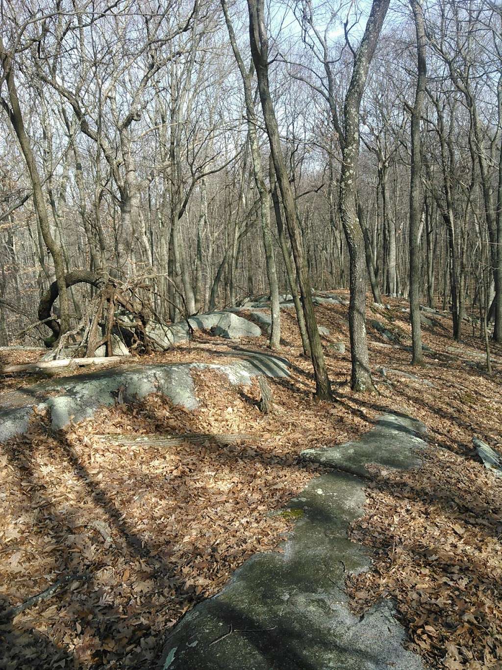 Granite Knolls Park | Yorktown Heights, NY 10598, USA