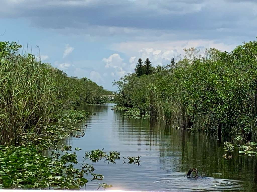 Coopertown The Original Airboat Tour | 22700 SW 8th St, Miami, FL 33194, USA | Phone: (305) 226-6048