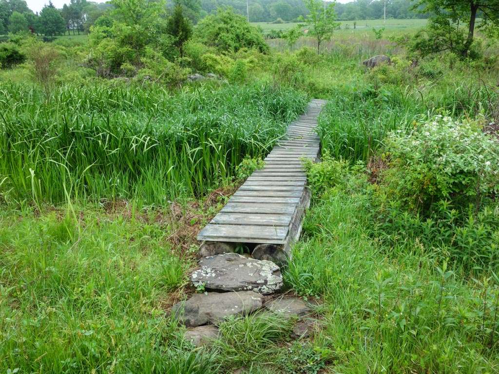 Appalachian Trail | Goldsmith Rd, Wantage, NY 07461, USA