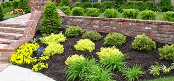 Village Green Nursery | 247 Nelson St, Marion, PA 17235, USA | Phone: (717) 375-2614