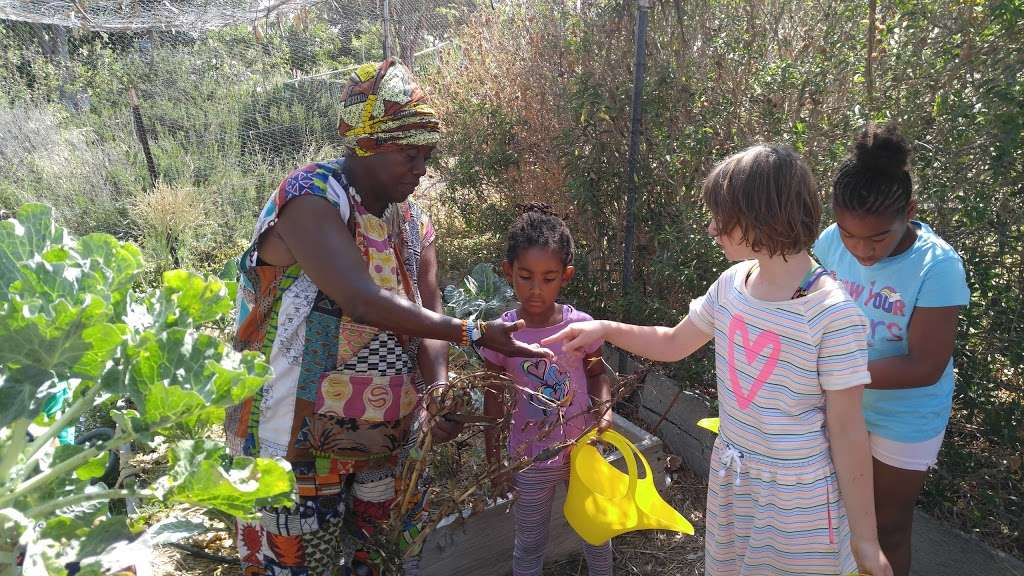 Childrens Organic Ethnobotany Garden | 2100 Park Blvd, San Diego, CA 92101, USA | Phone: (619) 230-1190