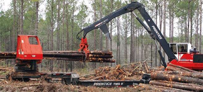 Texas Timberjack of Cleveland | 753 US-59, Cleveland, TX 77327, USA | Phone: (281) 592-4959