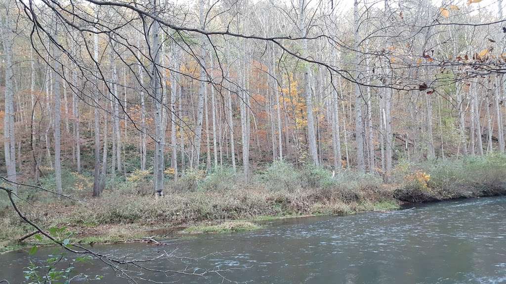 Masemore Hemlock Ravines Natural Area | Hilltop Ct, Parkton, MD 21120, USA