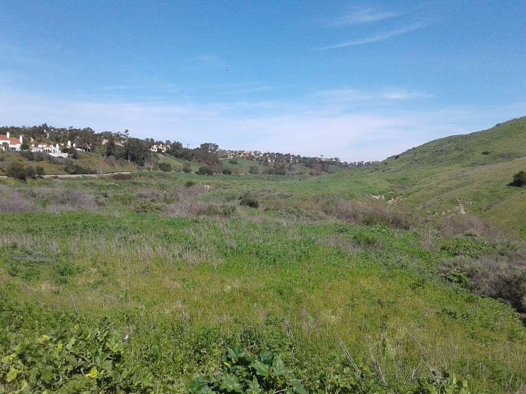 Salt Creek Trail | 31535-31543 Street of the Golden Lantern, Laguna Niguel, CA 92677, USA