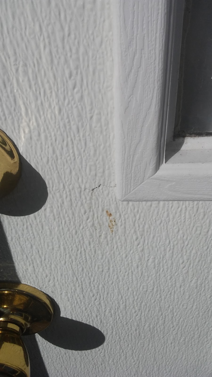 Young Terrace | 6024 Circle Dr, Hurlock, MD 21643, USA | Phone: (410) 943-6004