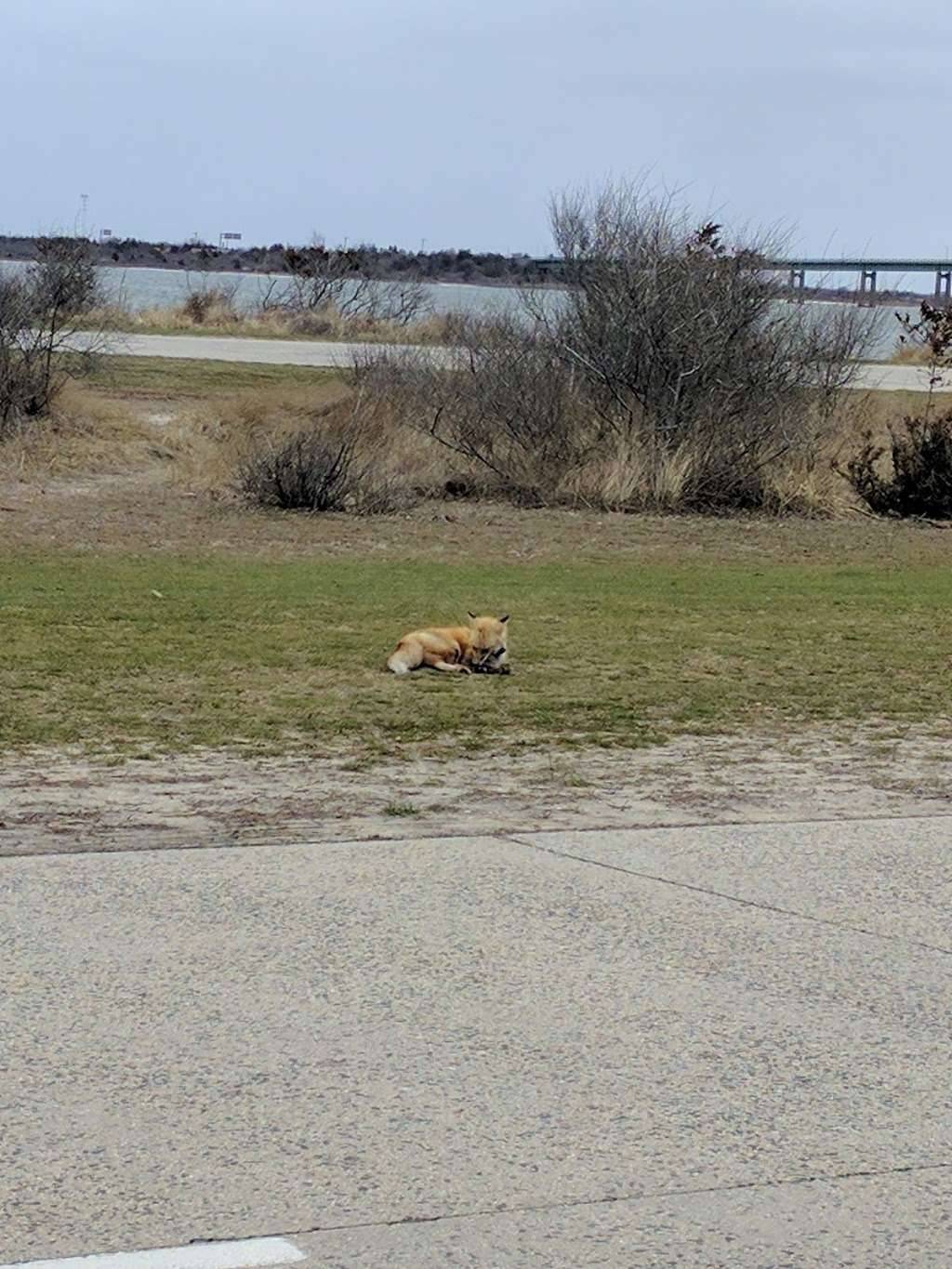 Robert Moses State Park Field 2 | 600 Robert Moses State Pkwy, Babylon, NY 11702, USA | Phone: (631) 669-0449