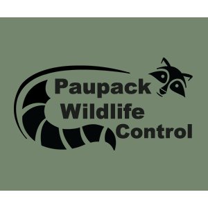 Paupack Wildlife Control | 121 Gumbletown Rd, Paupack, PA 18451, USA | Phone: (570) 251-1544