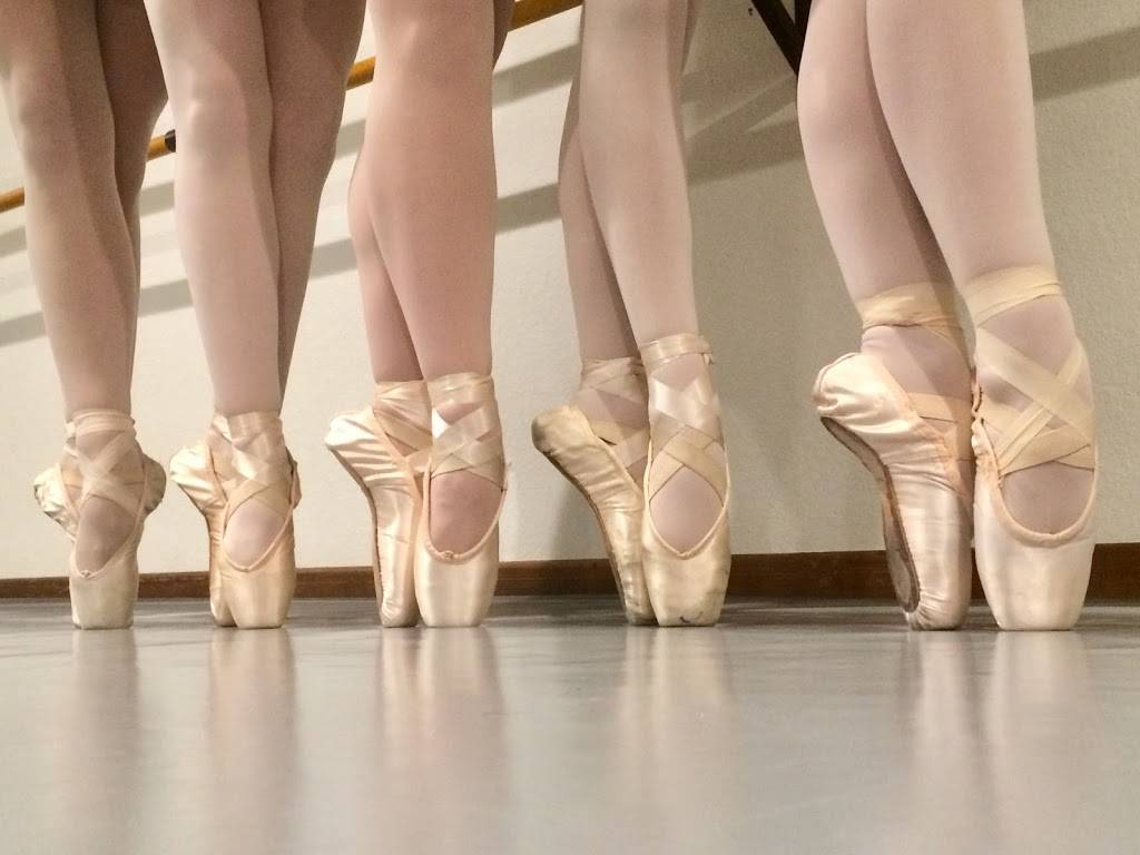 DNArts Ballet Studio | 26736 Fawn Mountain, Fair Oaks Ranch, TX 78015, USA | Phone: (210) 551-2432