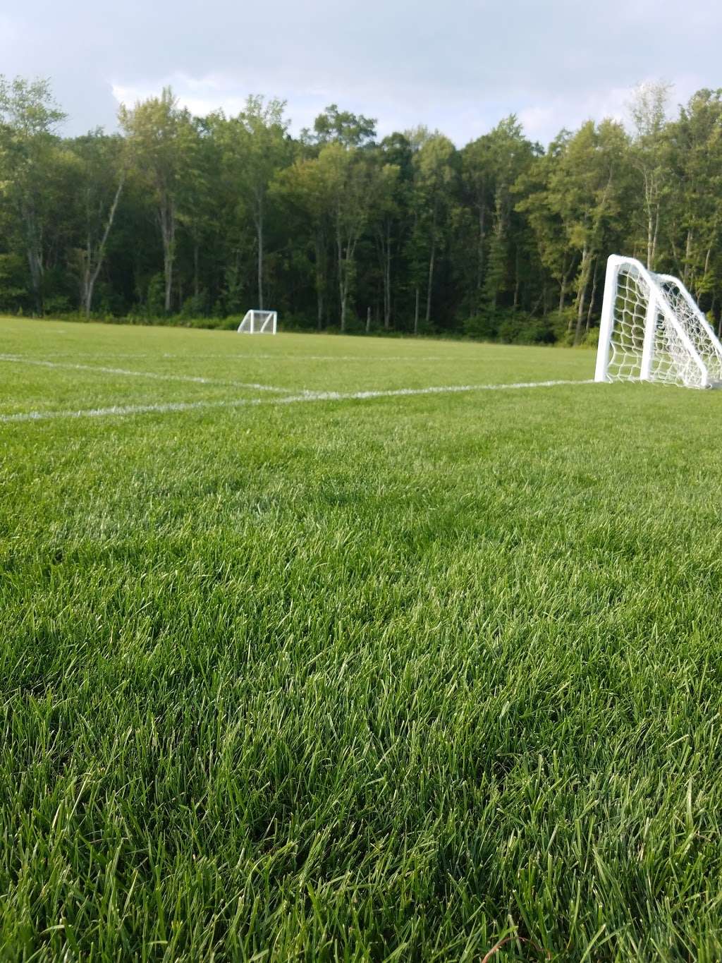 Back Mountain Youth Soccer Field | 240-, 248 Outlet Rd, Dallas, PA 18612, USA