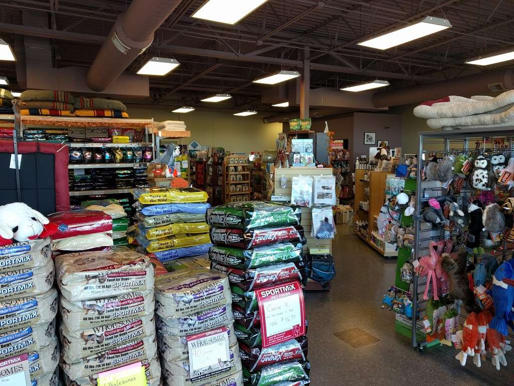 Muttz, A Bentleys Pet Stuff Company | 4445 City Centre Rd Suite 200, Firestone, CO 80504, USA | Phone: (303) 776-0560