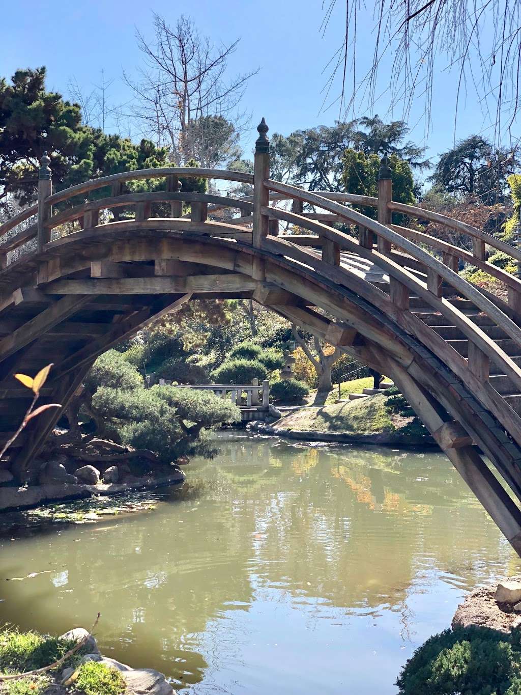 The Huntington Japanese Garden | San Marino, CA 91108 | Phone: (626) 405-2100