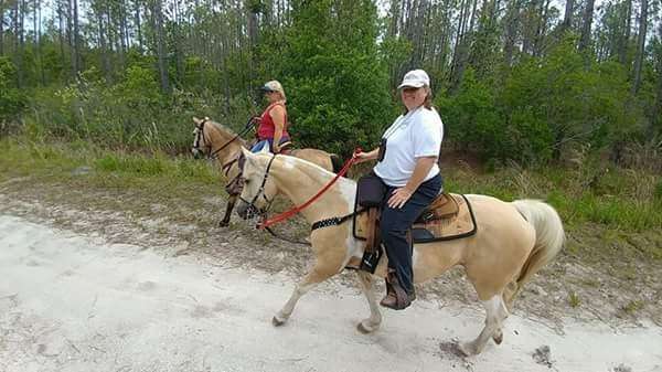 Tram Road Equestrian Campground | Rima Ridge Rd, Ormond Beach, FL 32174, USA | Phone: (386) 585-6150
