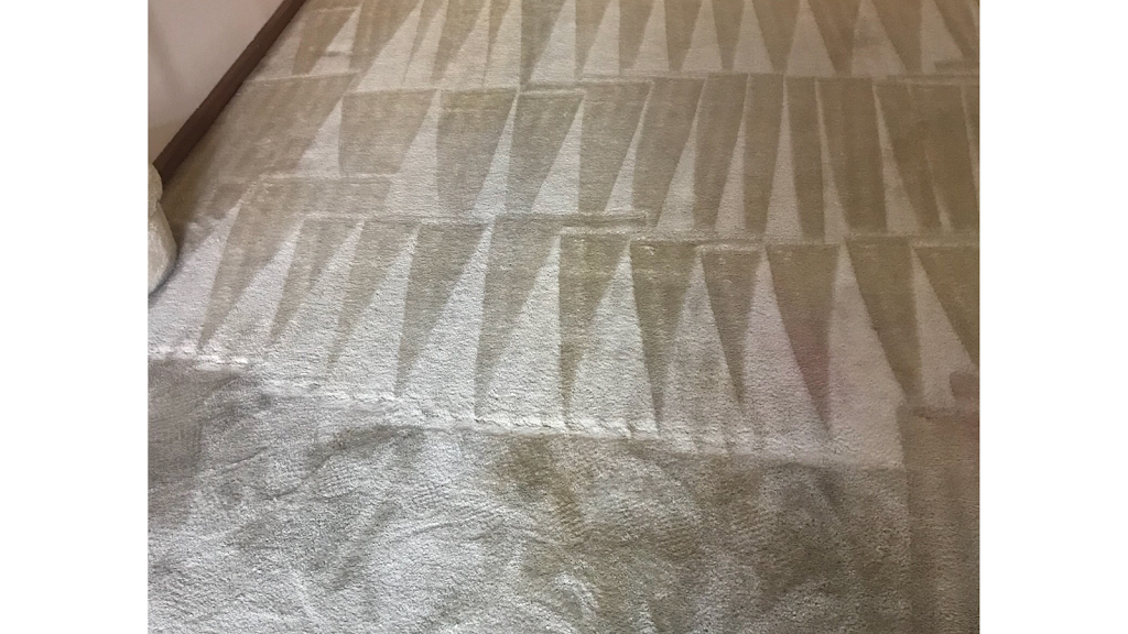 Unique Steam Clean | 1407 Dogwood Cir, Blue Bell, PA 19422, USA | Phone: (484) 868-2621