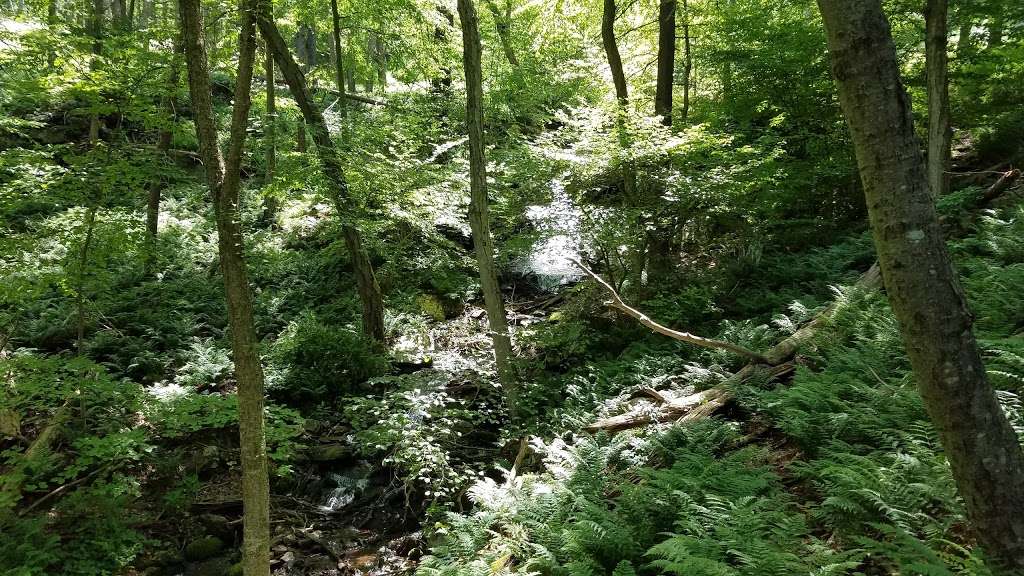 Douglas Parking Lot Trailhead | 134 Old Mine Rd, Columbia, NJ 07832, USA