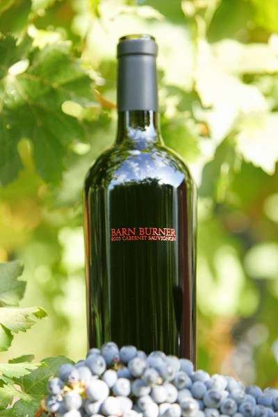 Tom Scott Vineyard | 1465 Yountville Cross Rd, Yountville, CA 94599, USA | Phone: (707) 944-1850