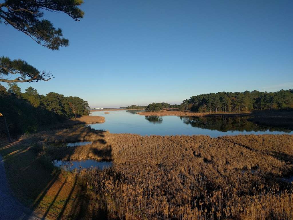 Assawoman Bay Lookout Point | Unnamed Rd,, Frankford, DE 19945, USA