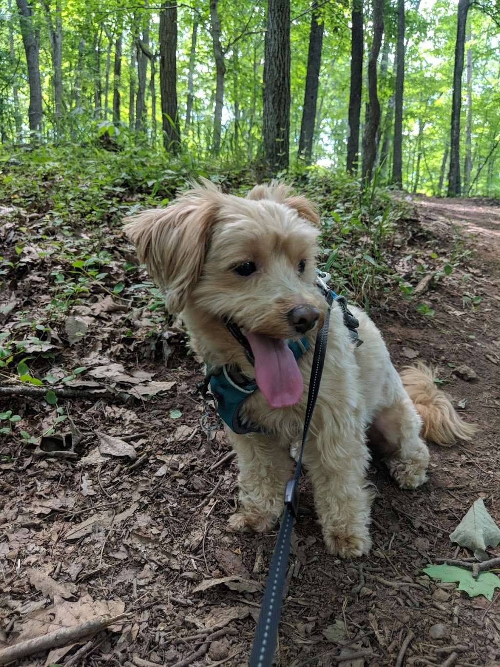 Red Rock Wilderness Overlook Regional Park | 43098 Edwards Ferry Rd NE, Leesburg, VA 20176, USA | Phone: (703) 779-9372