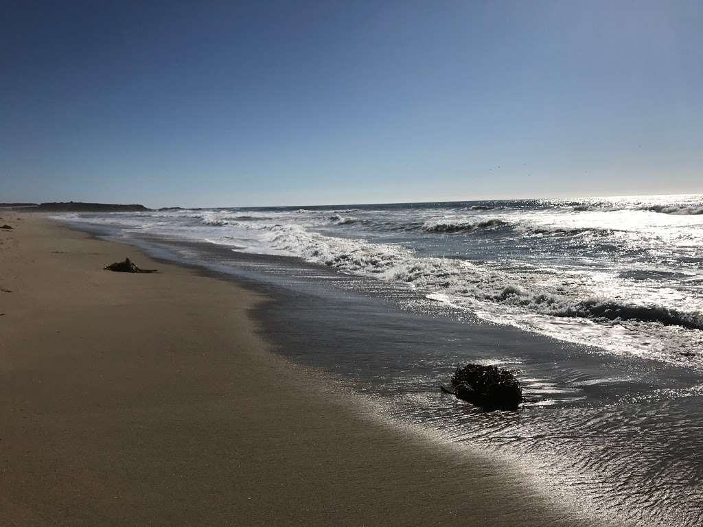 Pescadero Beach State Park N. | s, 18253 Cabrillo Hwy, San Gregorio, CA 94074, USA