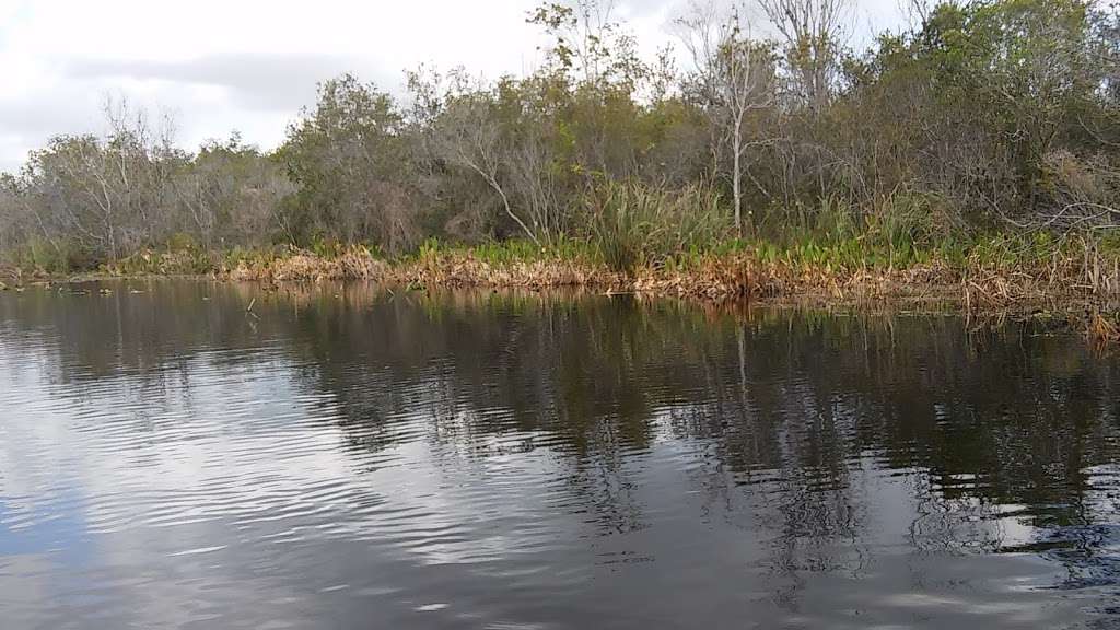 Lake Griffin State Park | 3089 US-441, Fruitland Park, FL 34731, USA | Phone: (352) 360-6760