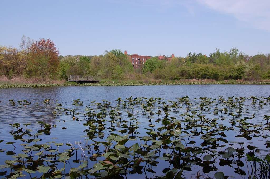 Eibs Pond Park | Hanover Ave, Staten Island, NY 10304, USA | Phone: (212) 639-9675