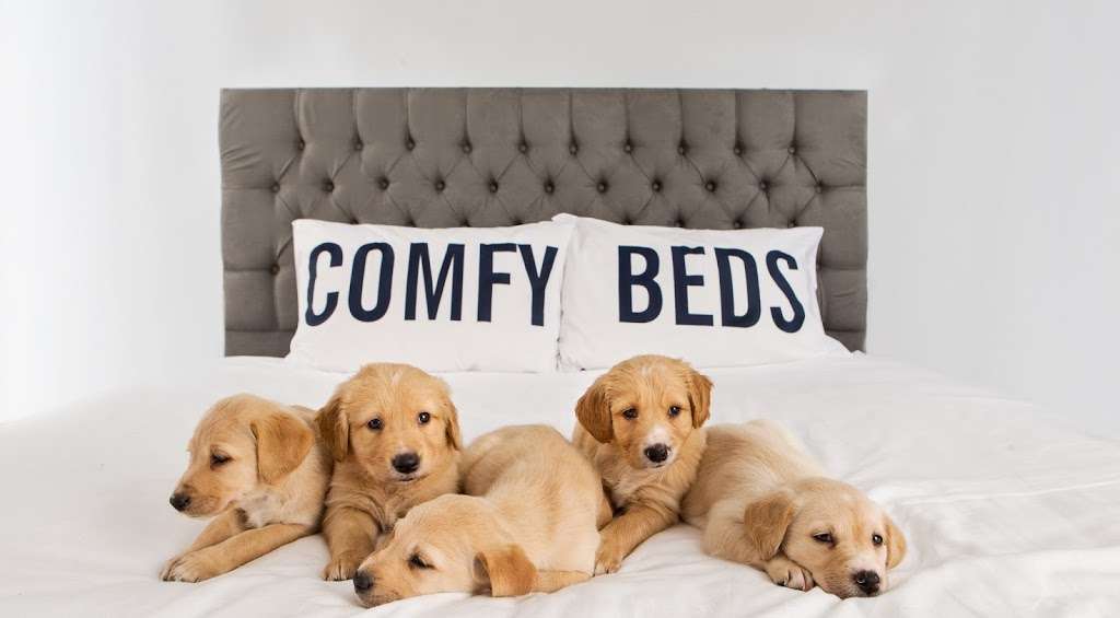 Comfy Beds | 51-57 High St S, East Ham, London E6 6EJ, UK | Phone: 020 8475 0464