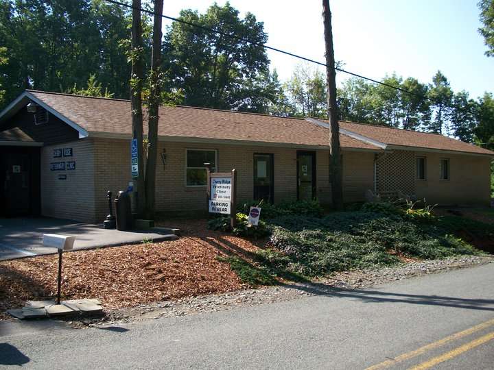 Cherry Ridge Veterinary Clinic | 328 Wanoka Road, Honesdale, PA 18431, USA | Phone: (570) 253-2402