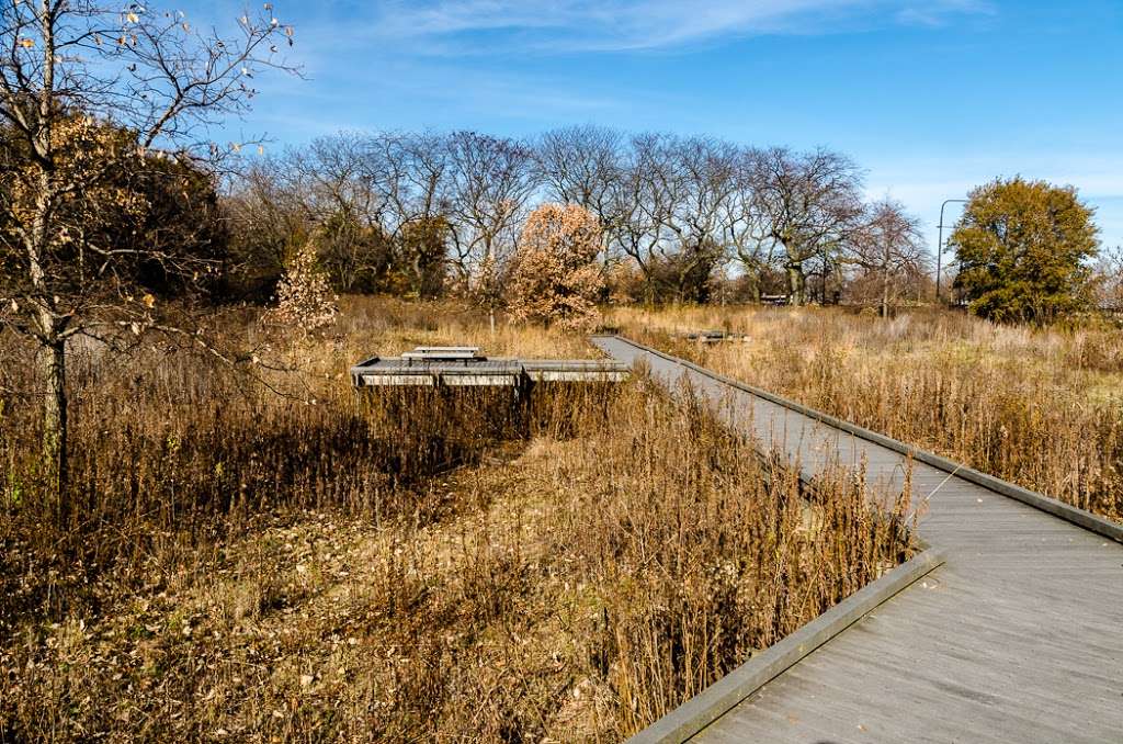 Burnham Nature Sanctuary | Chicago, IL 60615