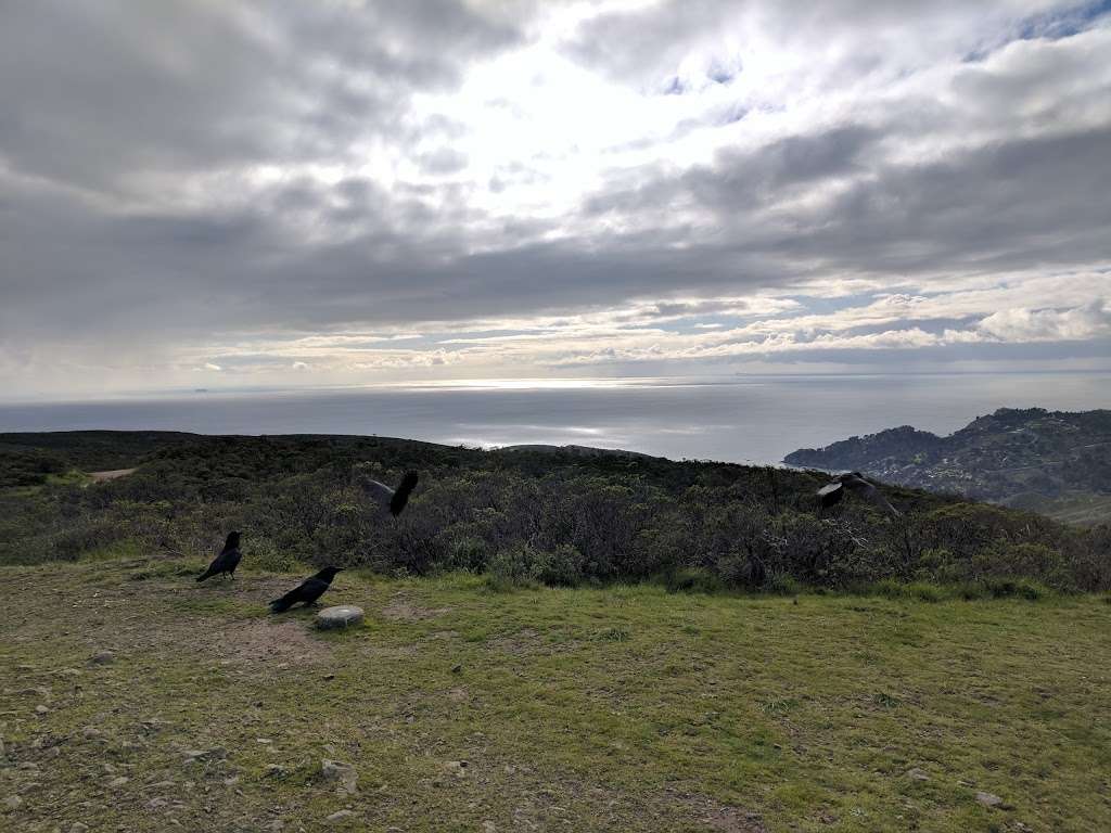 Tennessee Valley - Muir Beach / Tam Overlook | Yggdrasil Trail, Sausalito, CA 94965, USA